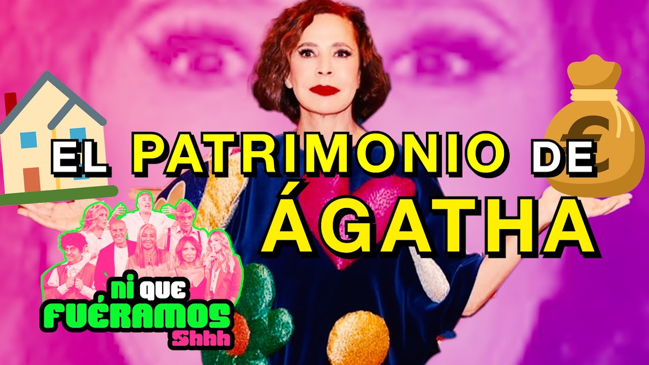 agatha ruiz de la prada patrimonio