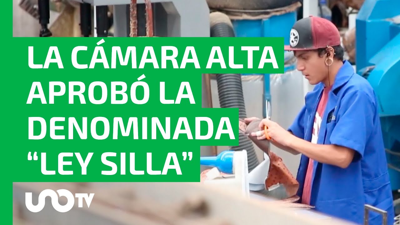 cuando entra en vigor una ley