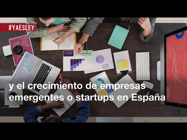 ley de fomento del ecosistema de las empresas emergentes