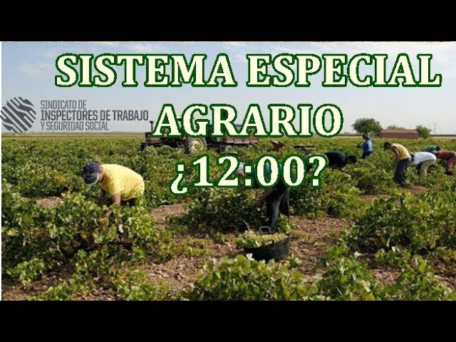 se puede estar de alta en régimen general y agrario