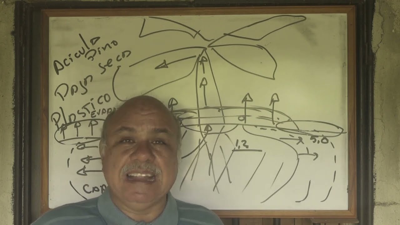 como rebajar la sal del agua de riego