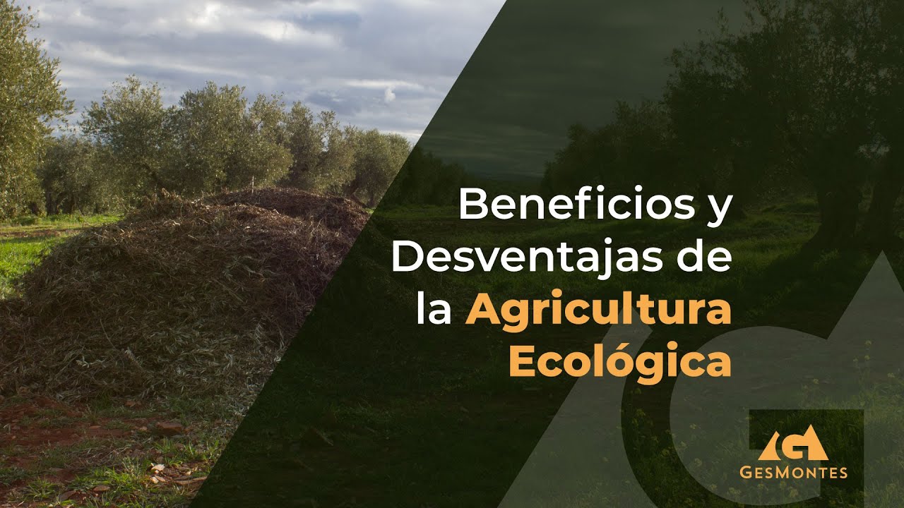 desventajas de la agricultura ecologica