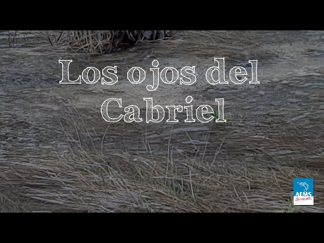 dónde nace el río cabriel