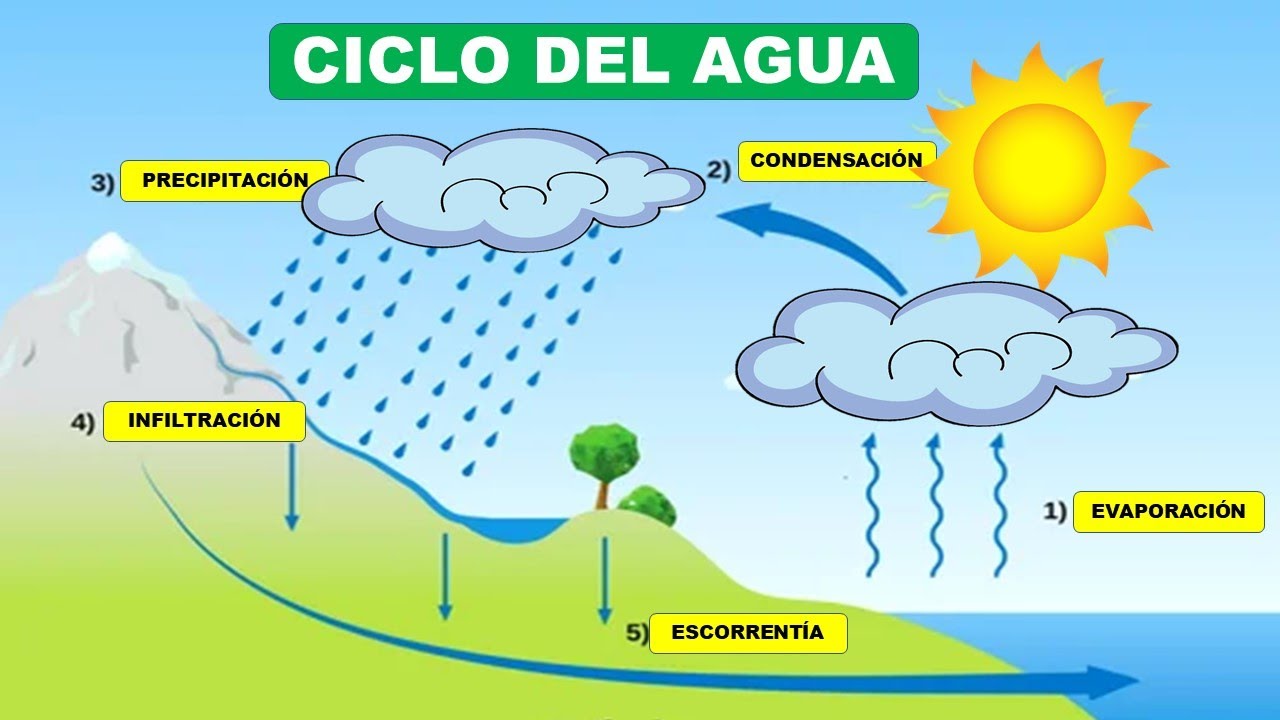 esquemas sobre el ciclo del agua