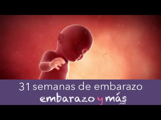 hace 31 semanas que dia era