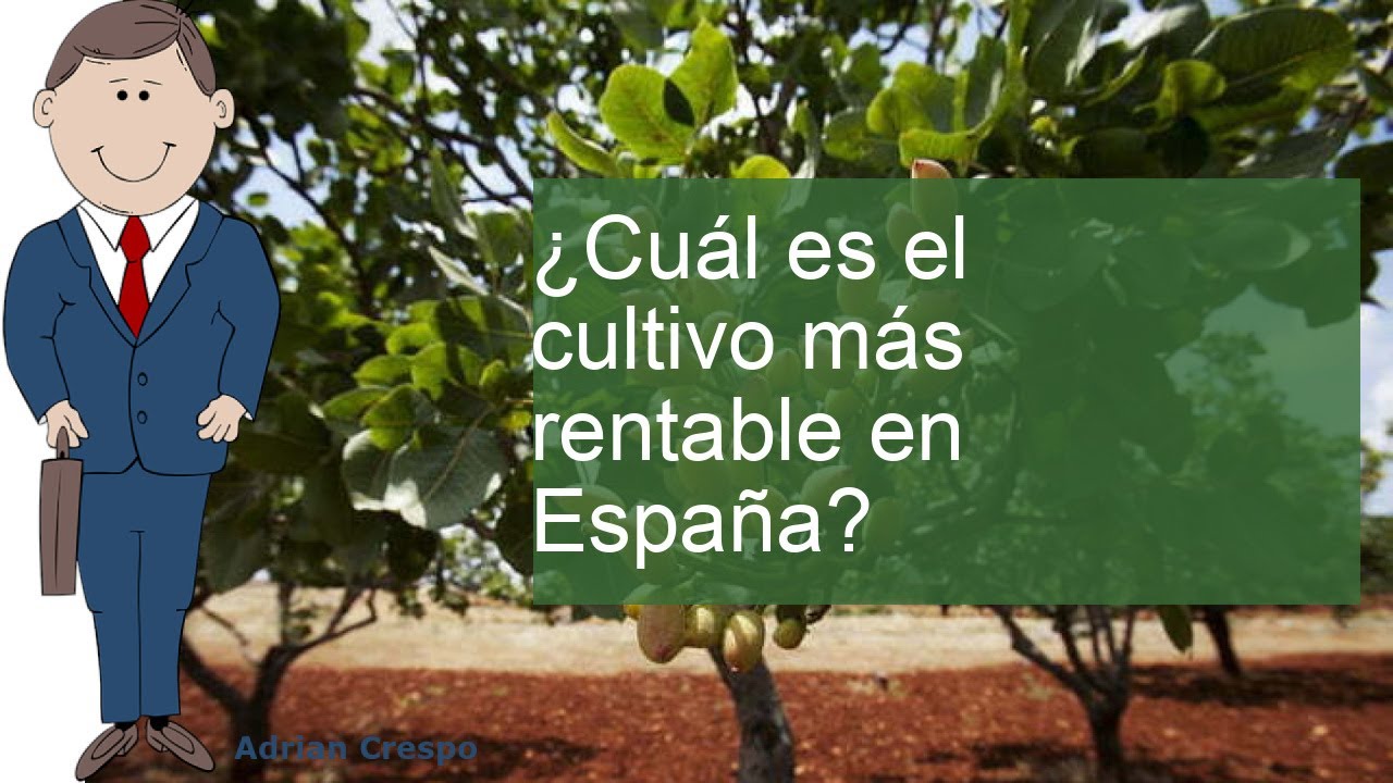 invertir en agricultura en españa