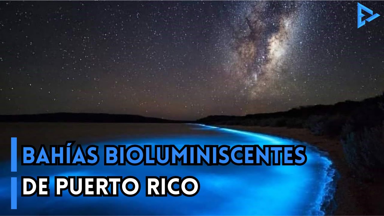 laguna fosforescente en puerto rico