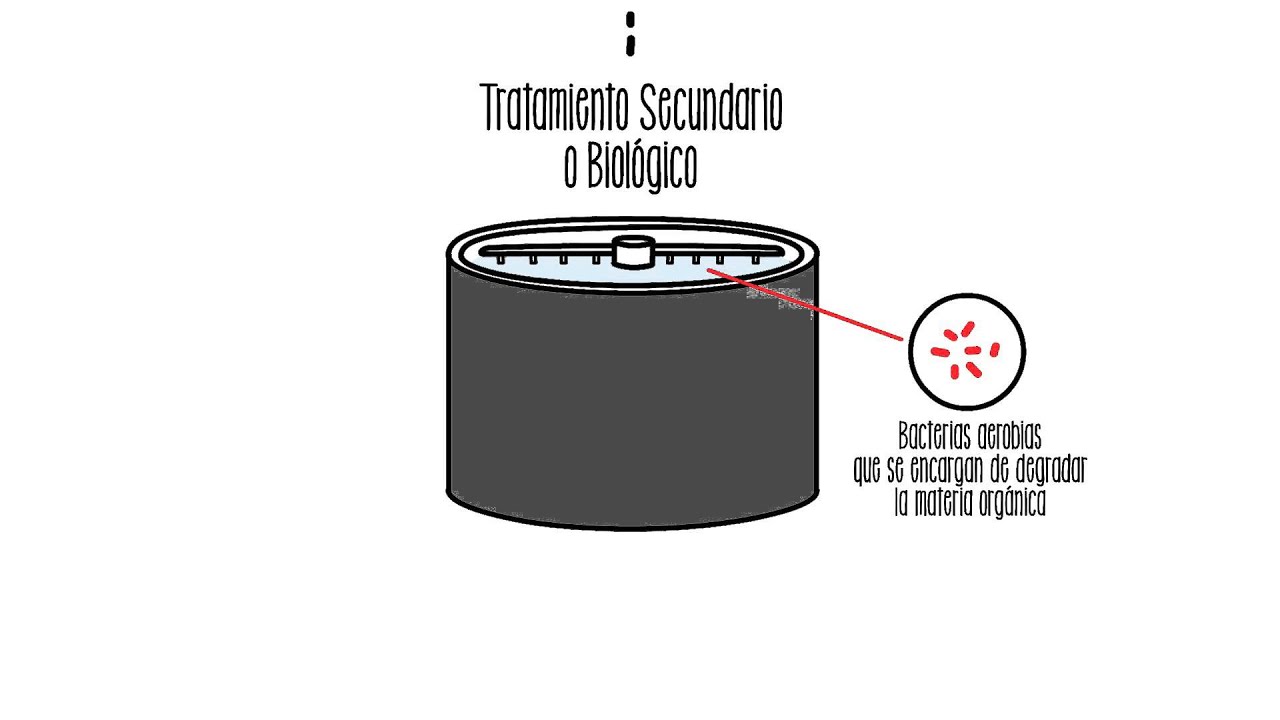 proceso de depuración del agua