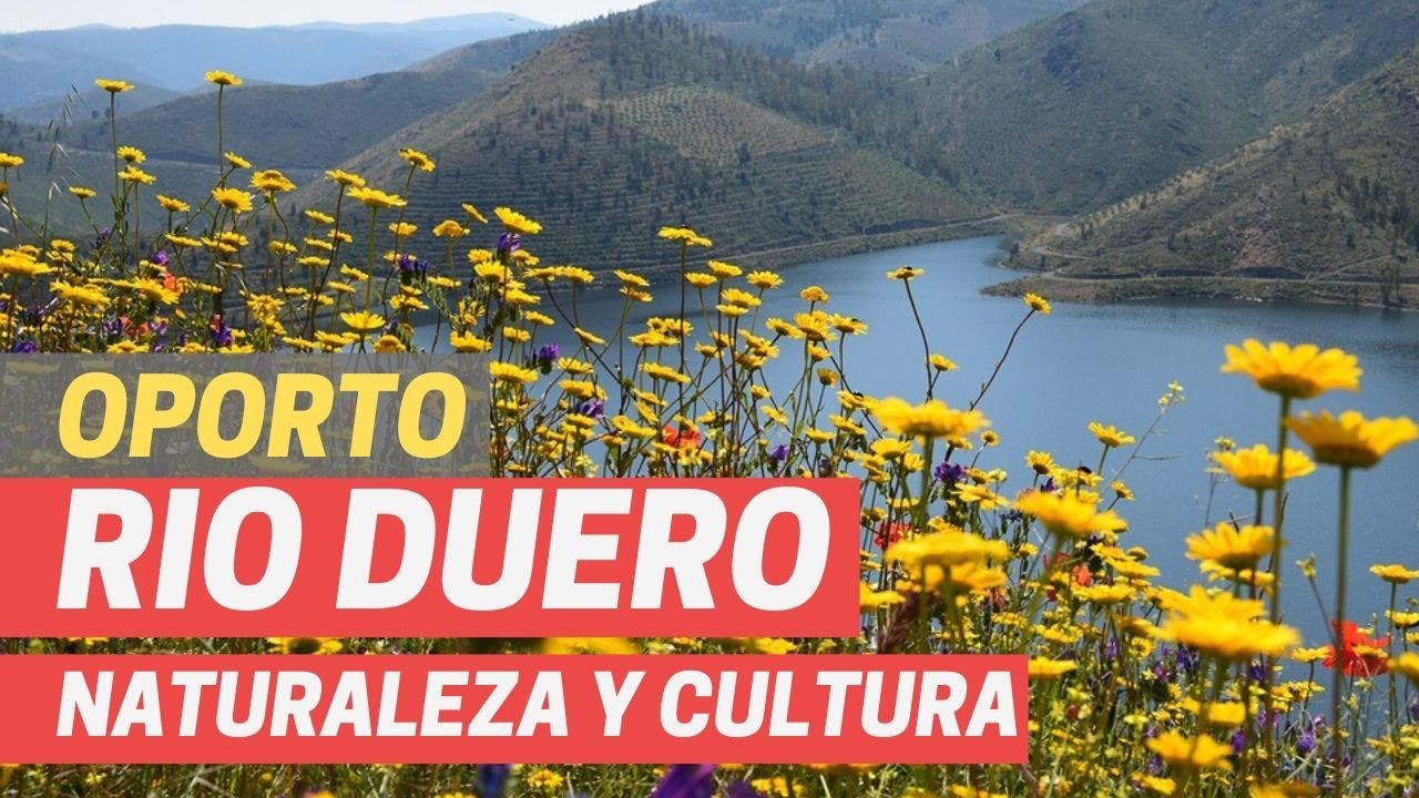 que rio pasa por oporto portugal