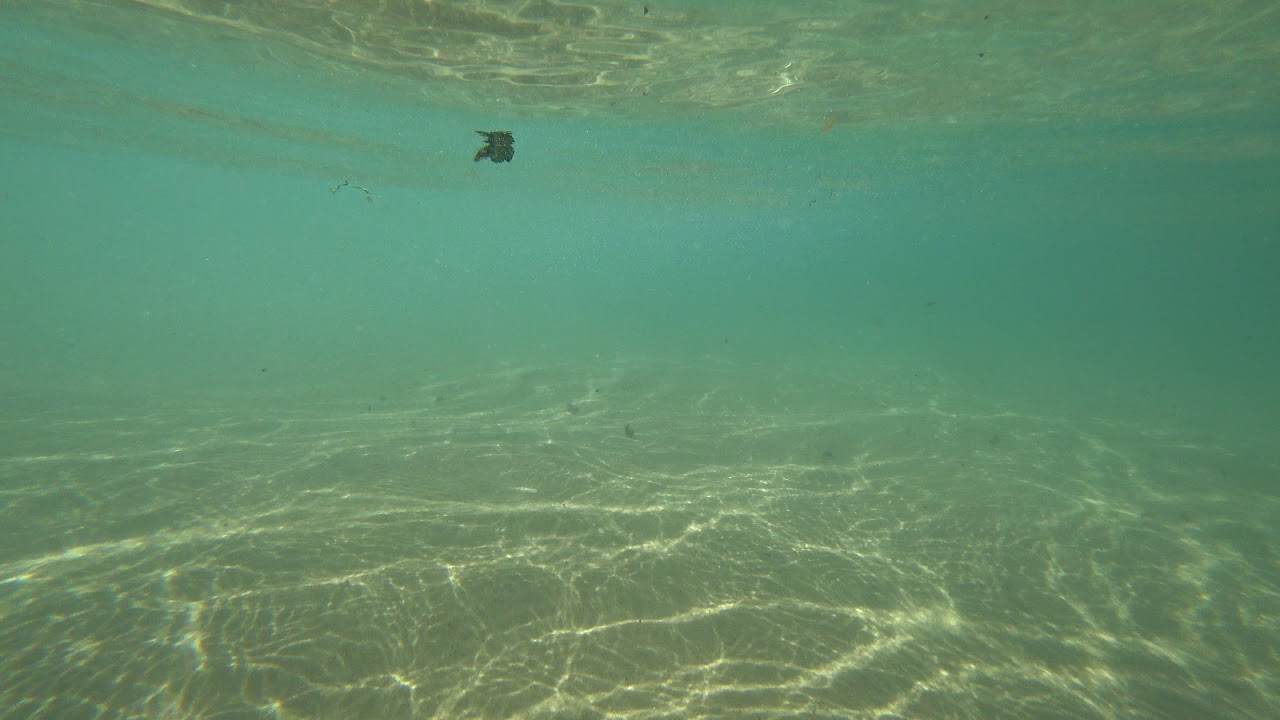 temperatura agua zahara de los atunes