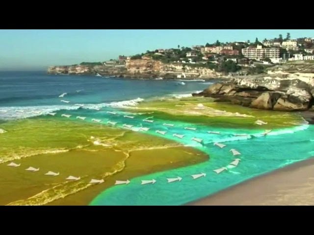 como salir de una resaca en el mar
