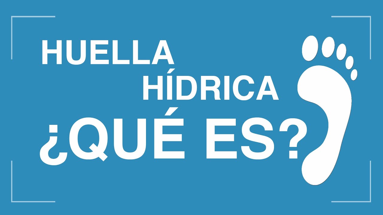 componentes de la huella hidrica