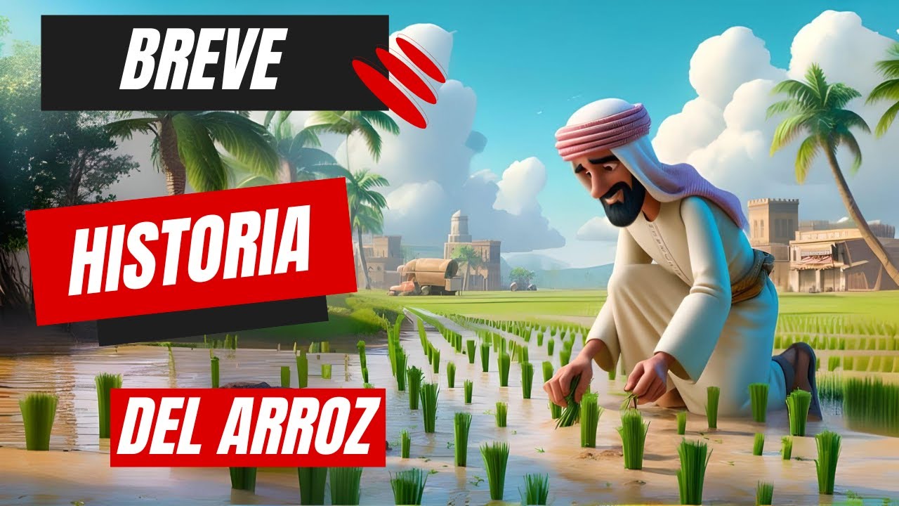cuando se planta el arroz en valencia