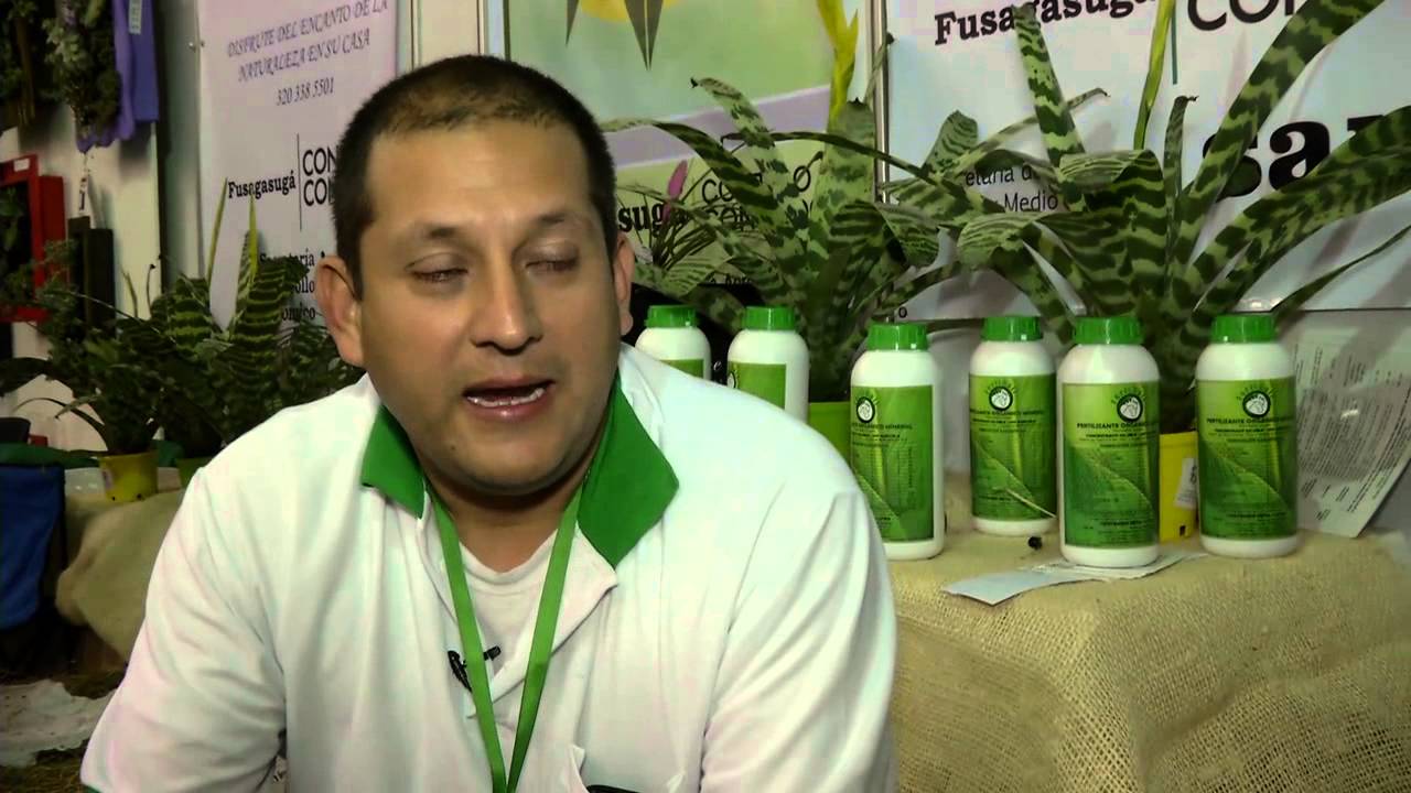 cuanto nitrogeno tiene la gallinaza