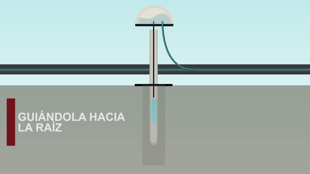 deep drop riego por goteo