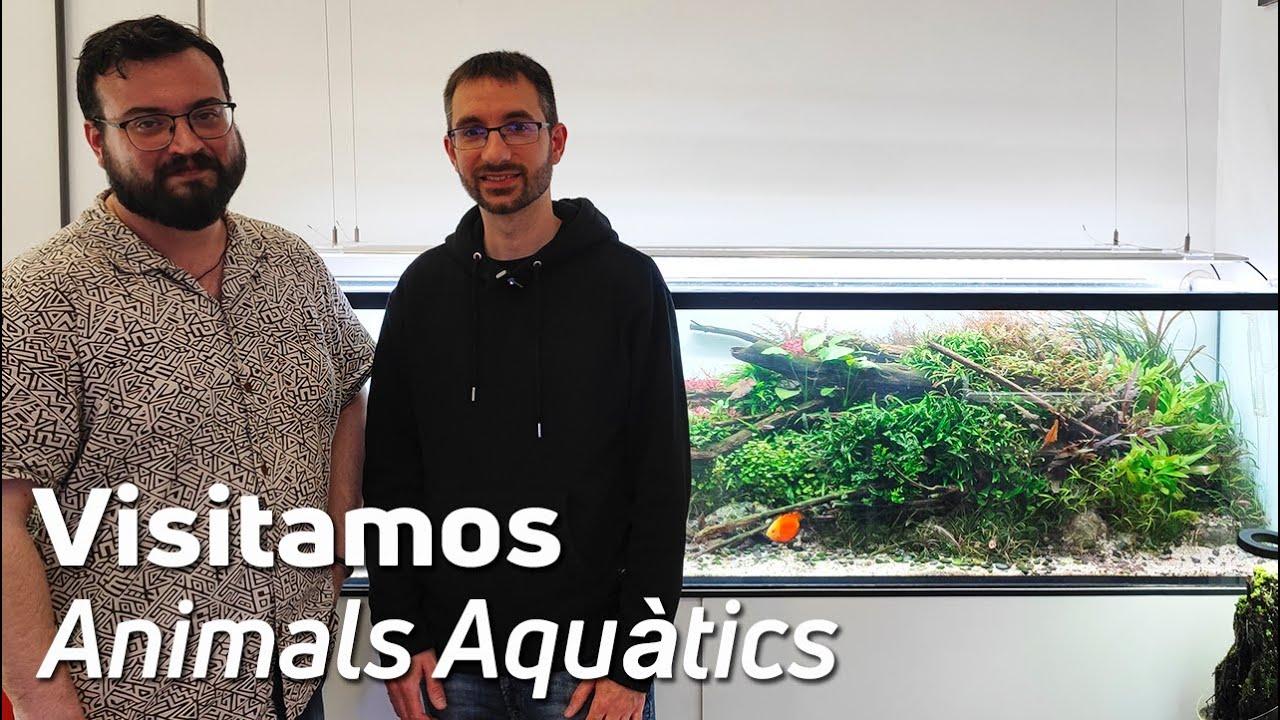 donde comprar peces en barcelona