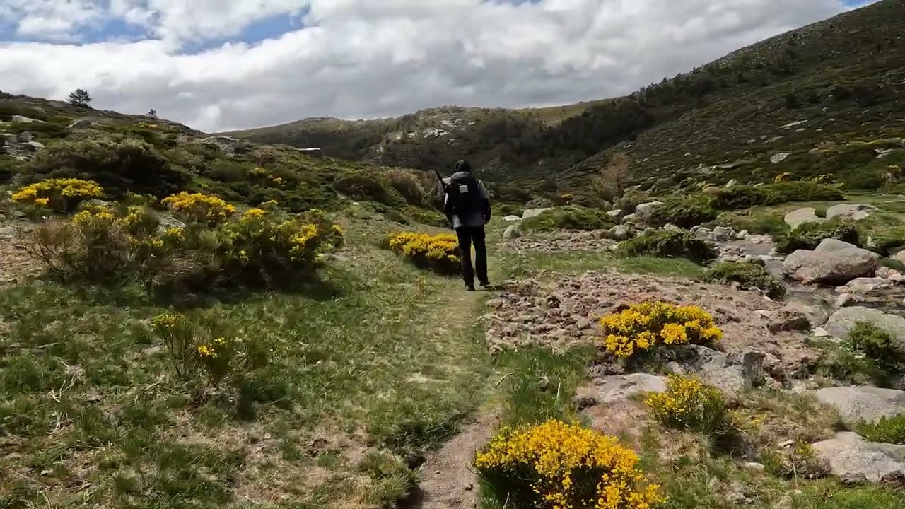 dónde nace el río manzanares