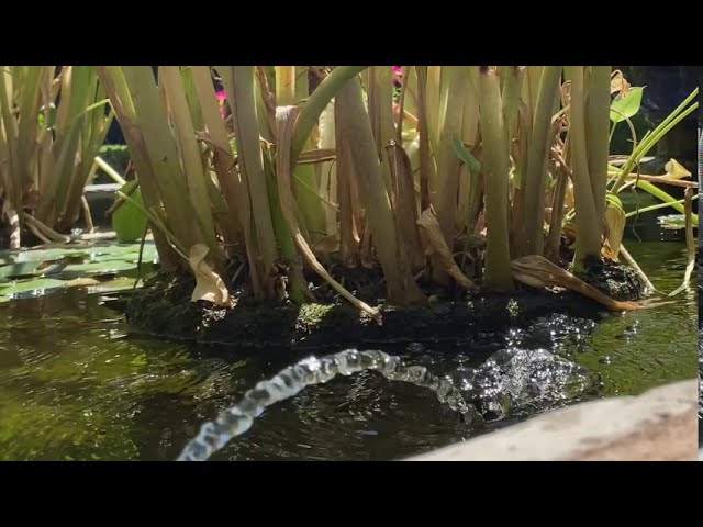 el agua en al andalus
