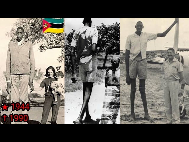 hombre mas alto del mundo mozambique