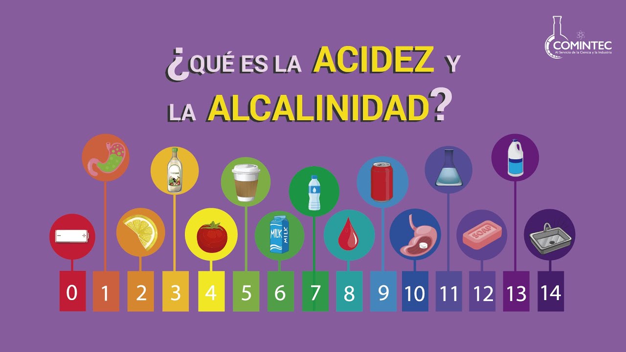 importancia de la acidez en los alimentos
