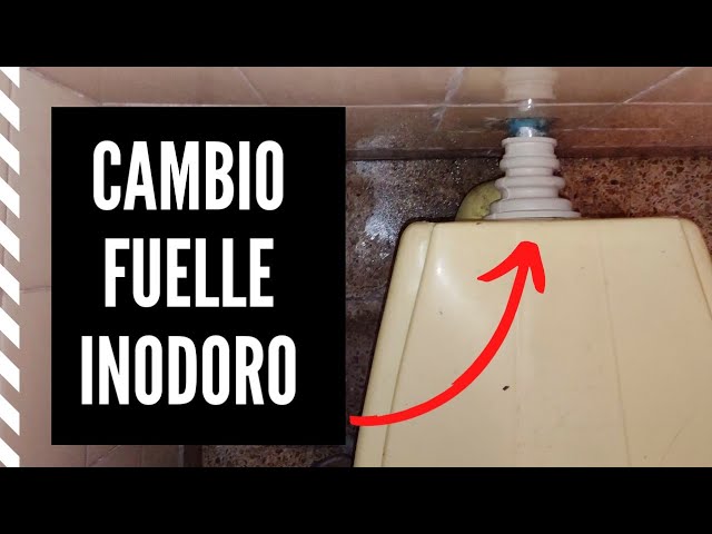 inodoro pierde agua por detrás