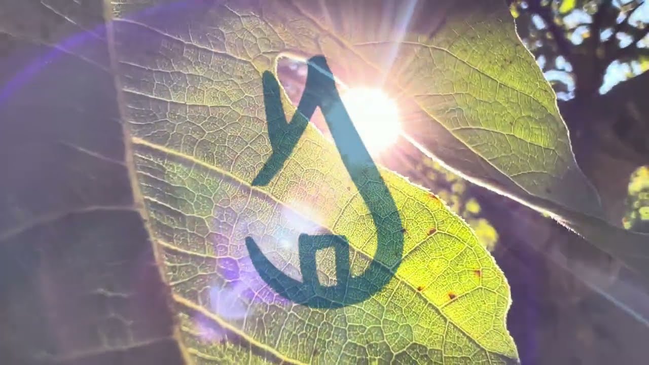 la casa del agua valencia