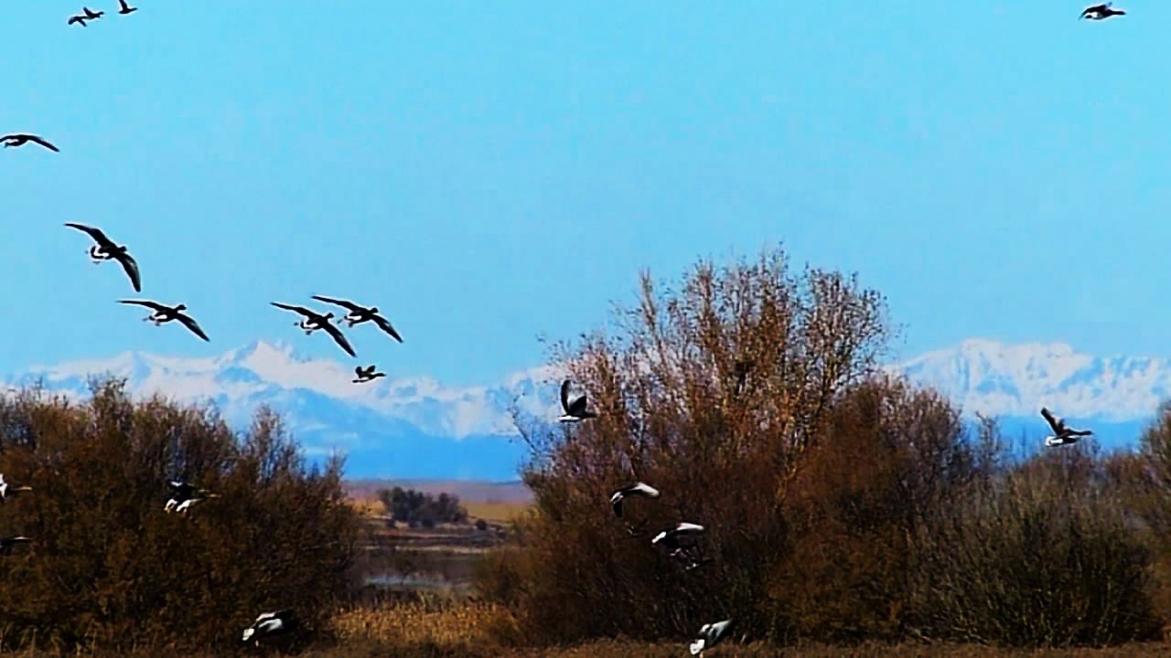 laguna de la nava de fuentes