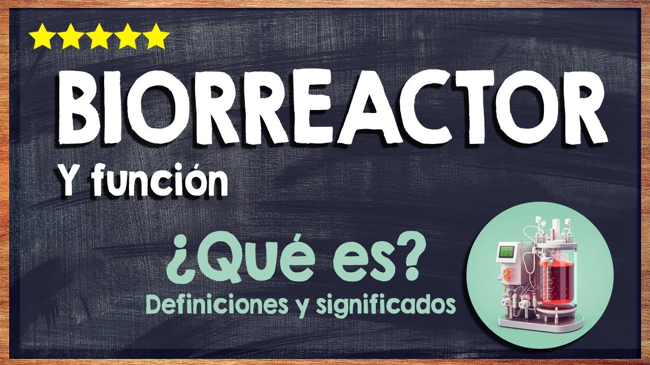 que es un biorreactor y para que sirve