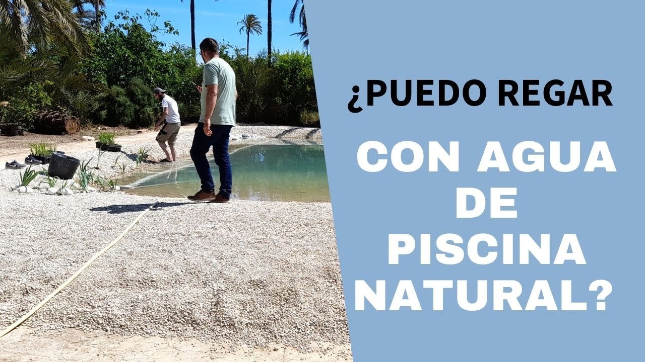 regar con agua de piscina