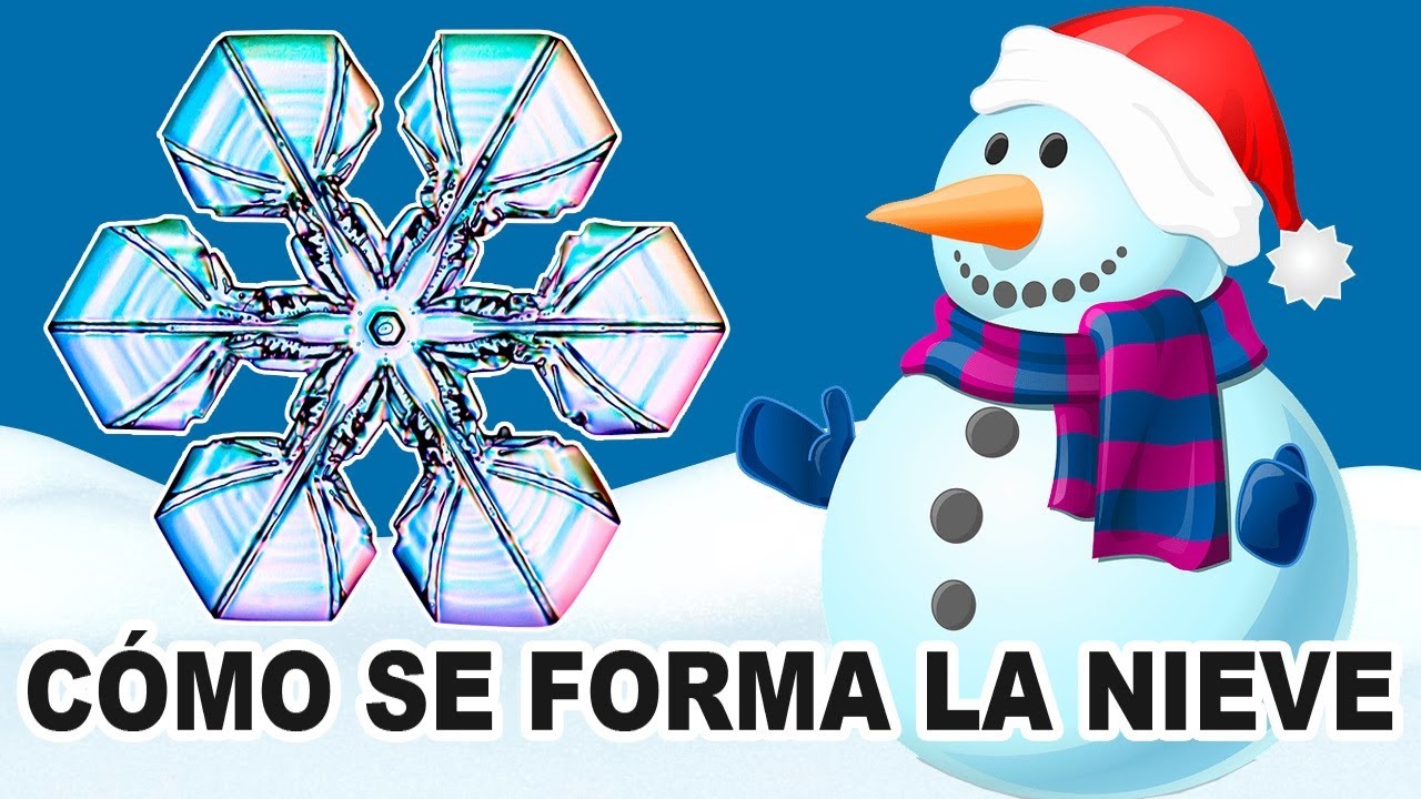 tipos de copos de nieve