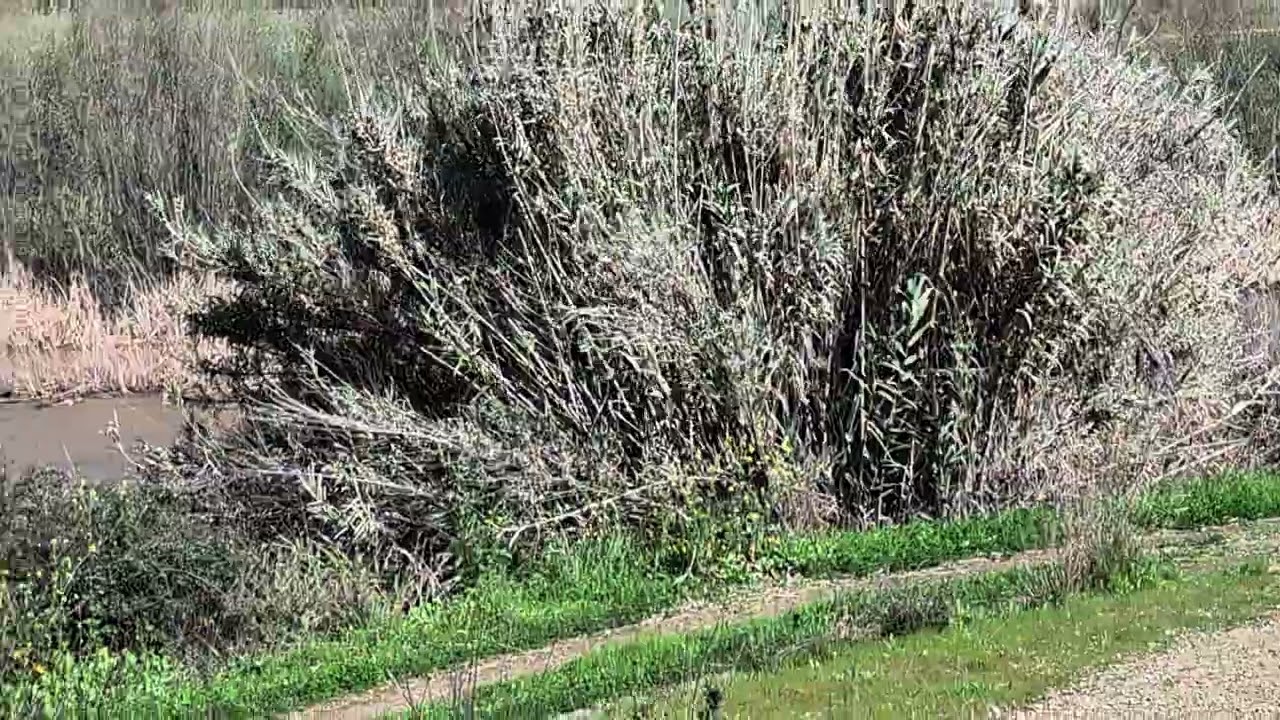 afluentes del guadiana por la izquierda