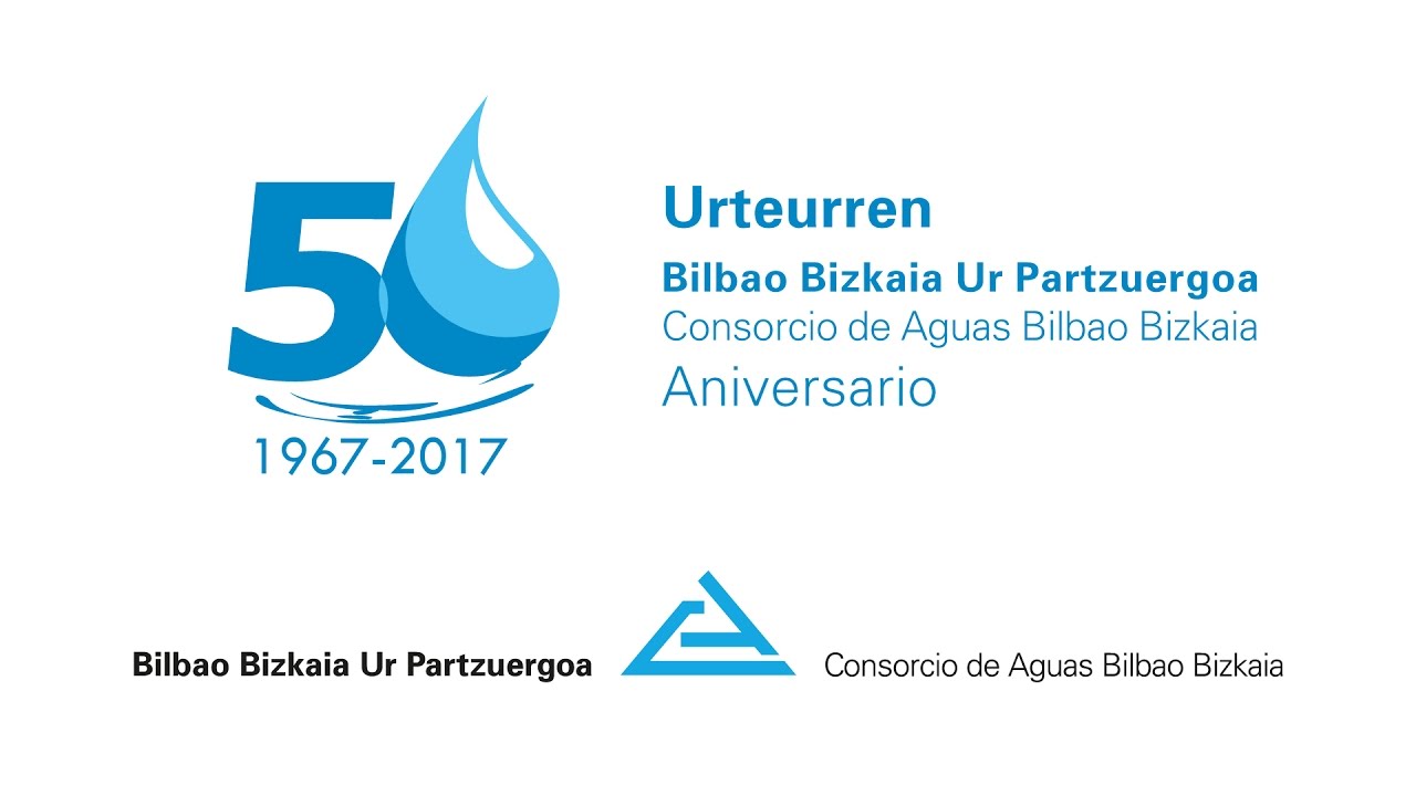 bono social consorcio de aguas bilbao