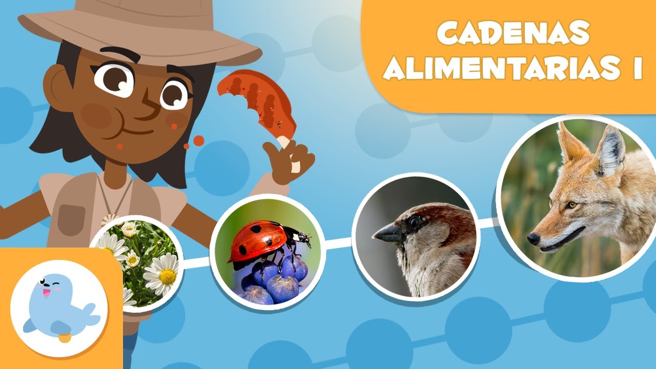cadenas alimenticias de la sabana