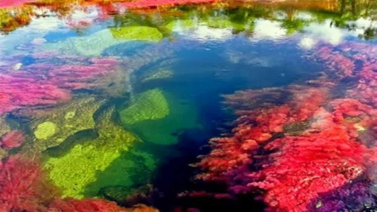 colombia rio de 7 colores