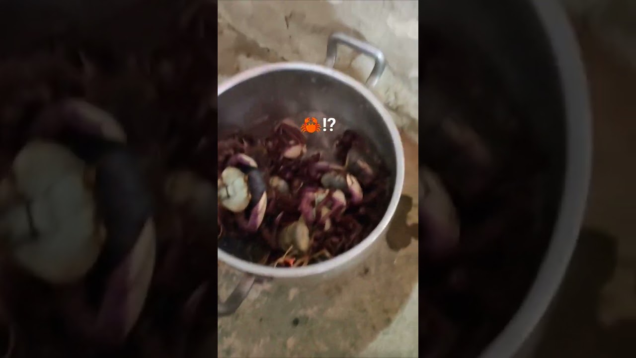 como conservar cangrejos de rio vivos
