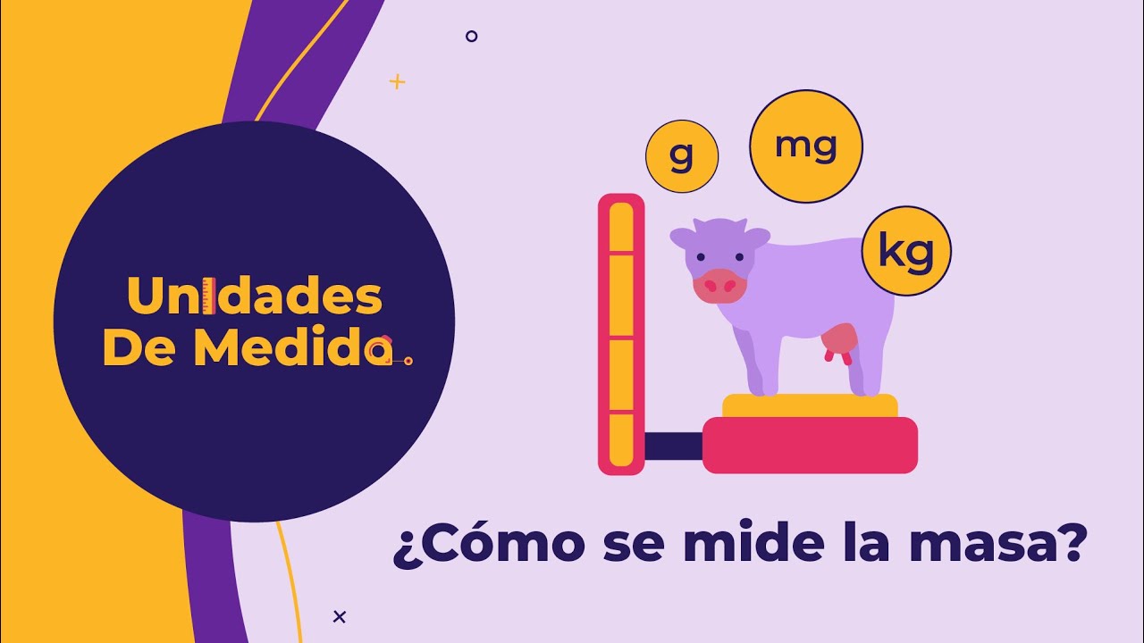 con que instrumento se mide la masa