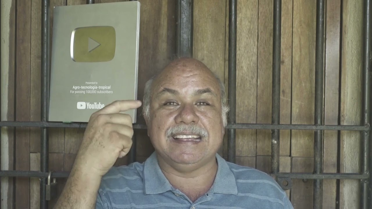 consecuencias de regar una planta con agua salada