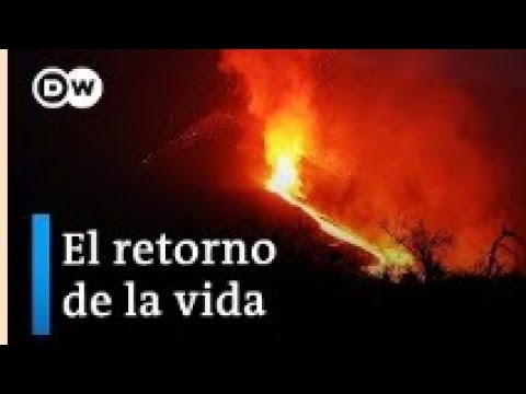 cuando empezó el volcán de la palma