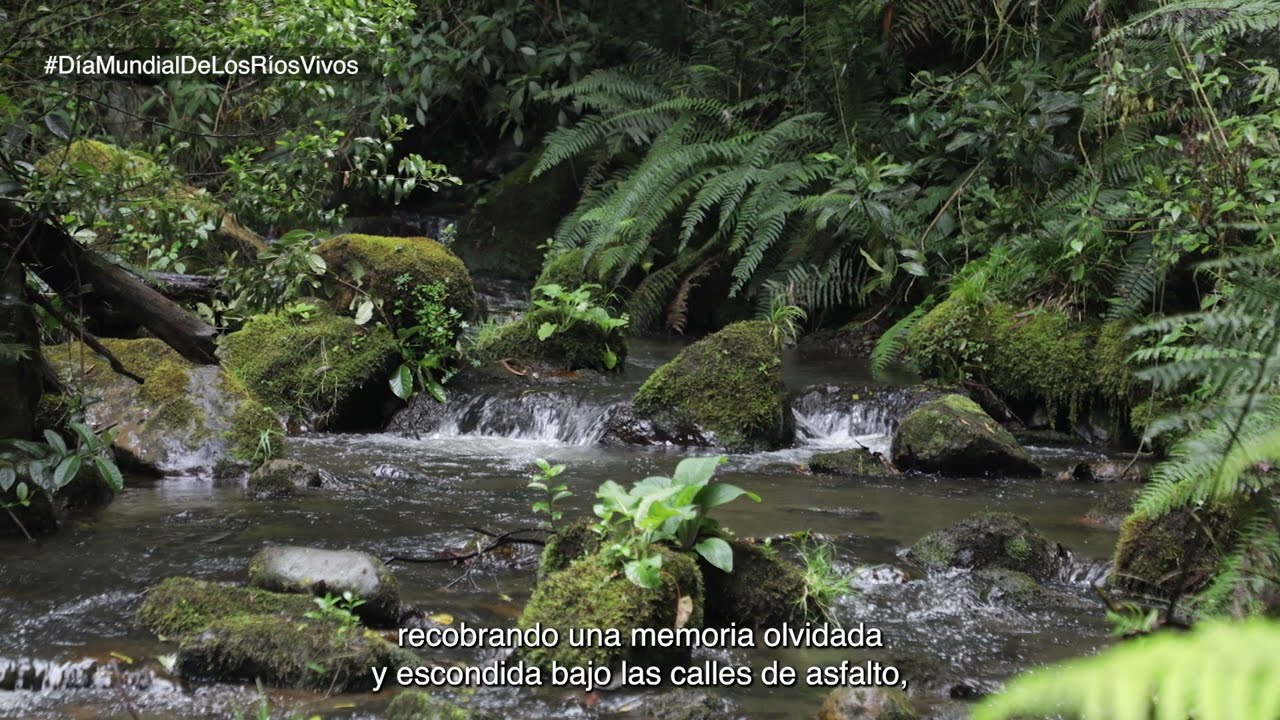 dia mundial de los rios