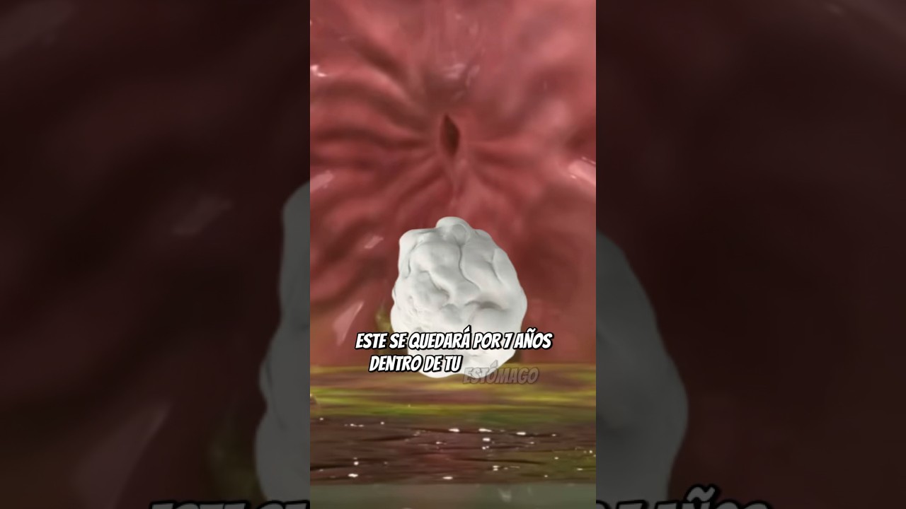 donde se tira el chicle