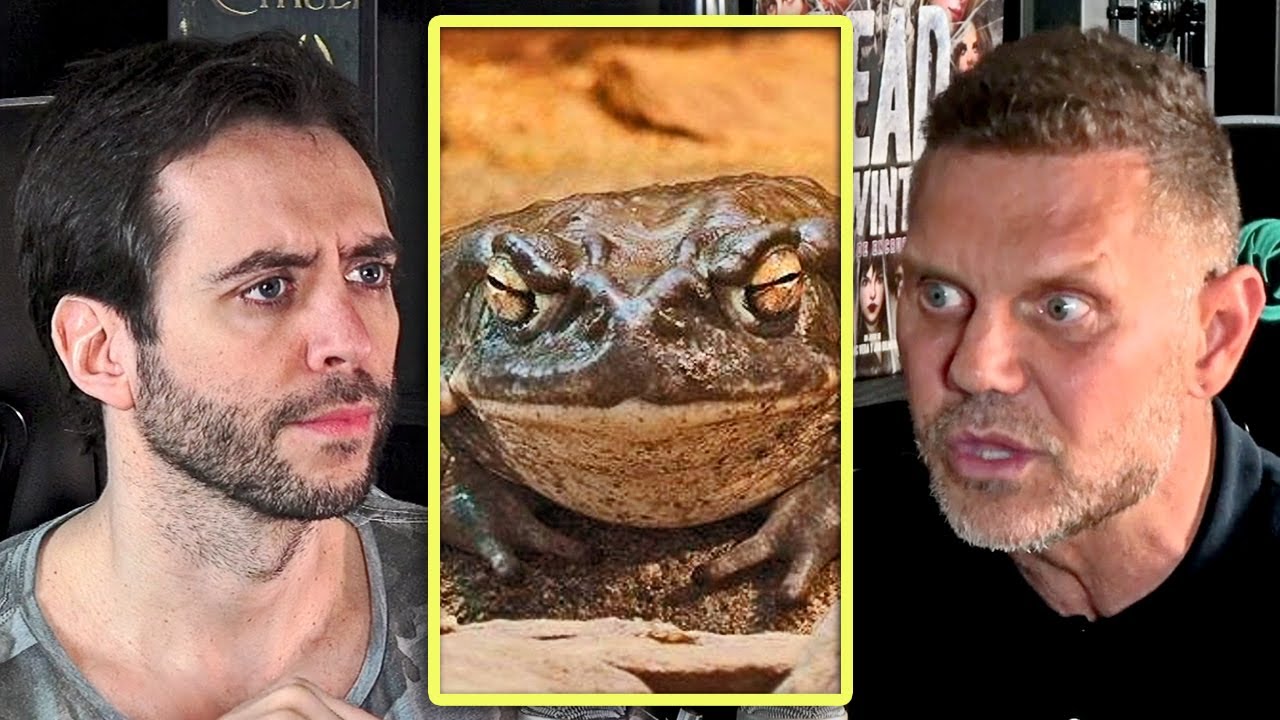 equipo de investigacion nacho vidal