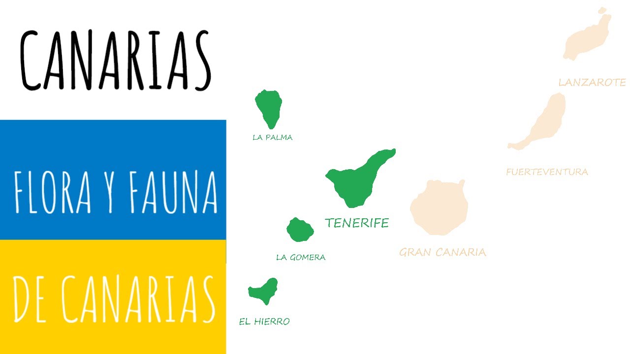 flora y fauna de gran canaria