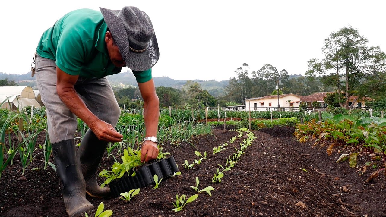 importancia de la agricultura en españa