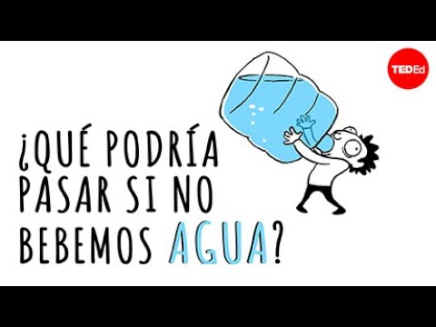 la importancia del agua para el ser humano
