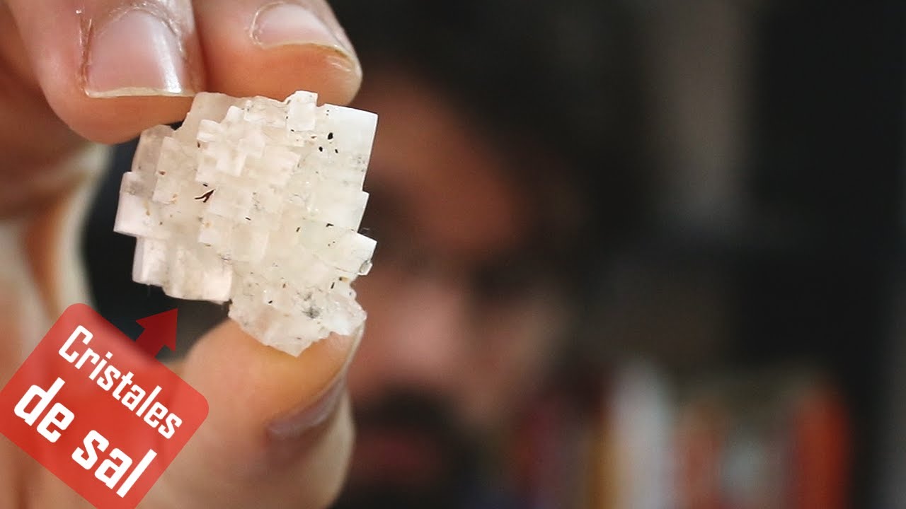 la sal se disuelve en agua