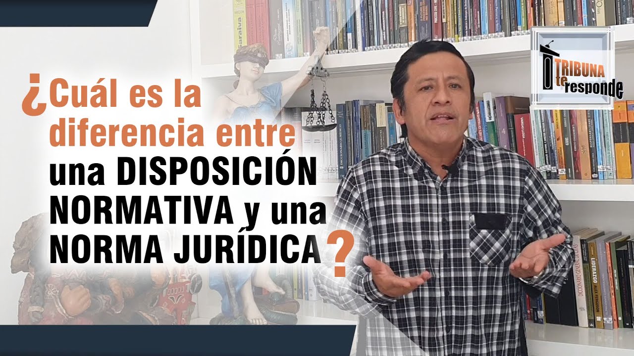 que es una disposición legal