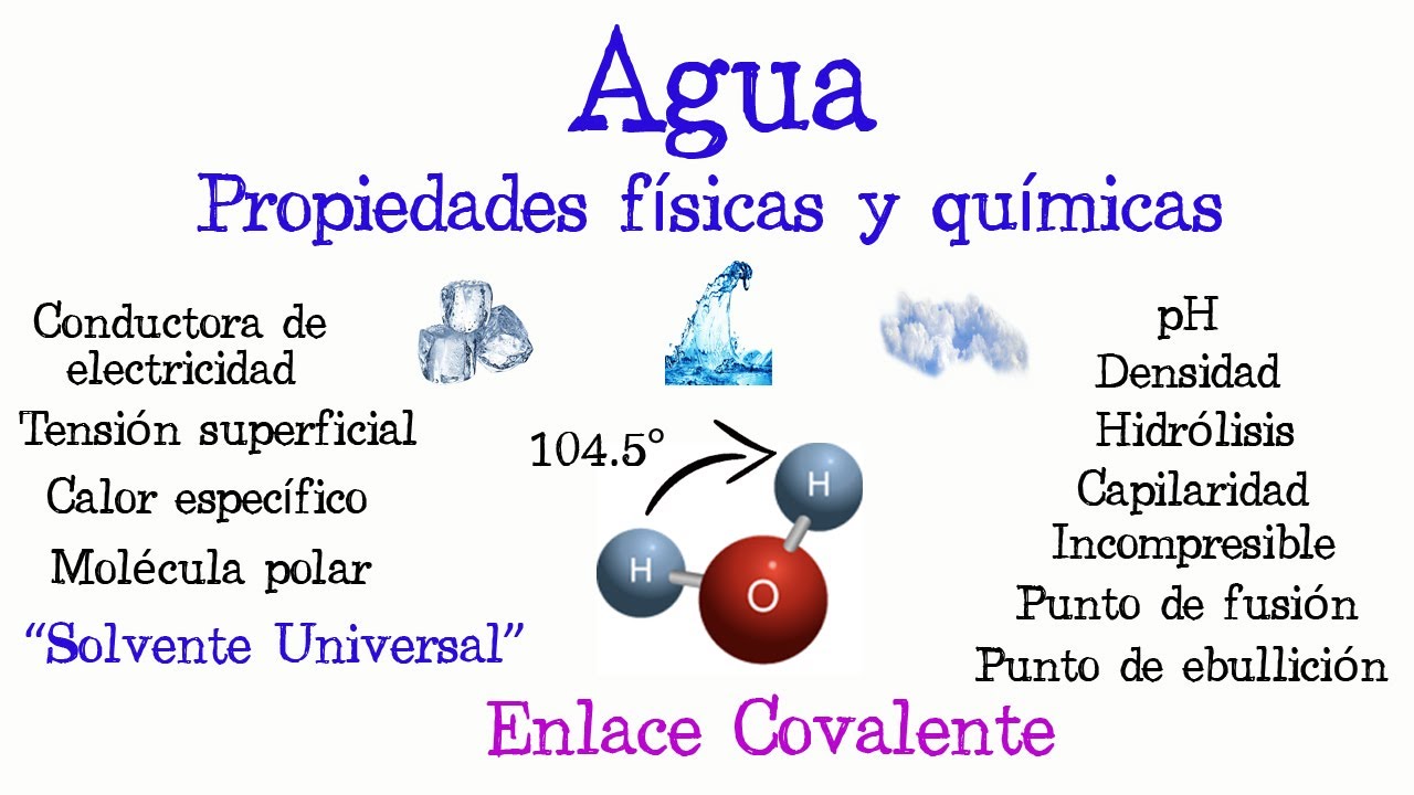 que tipo de particula quimica es el agua