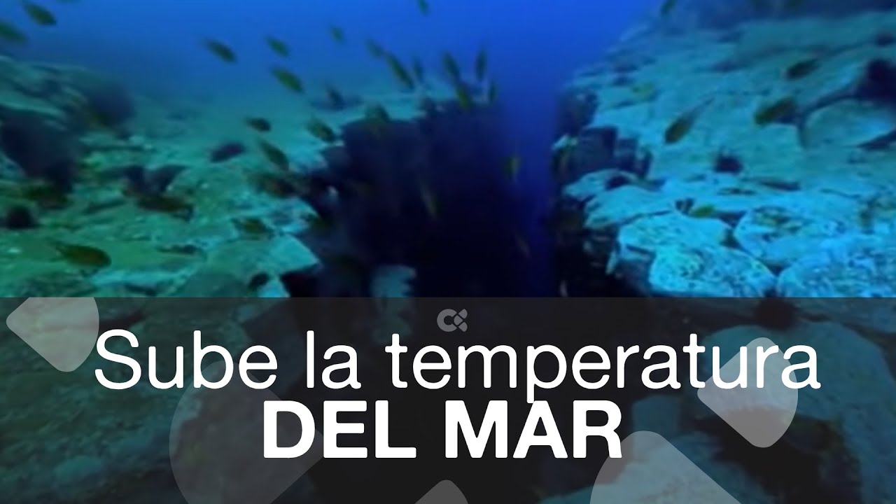 temperatura del agua en tarifa