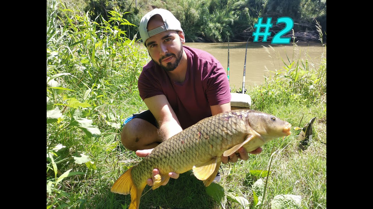 zonas de pesca río llobregat
