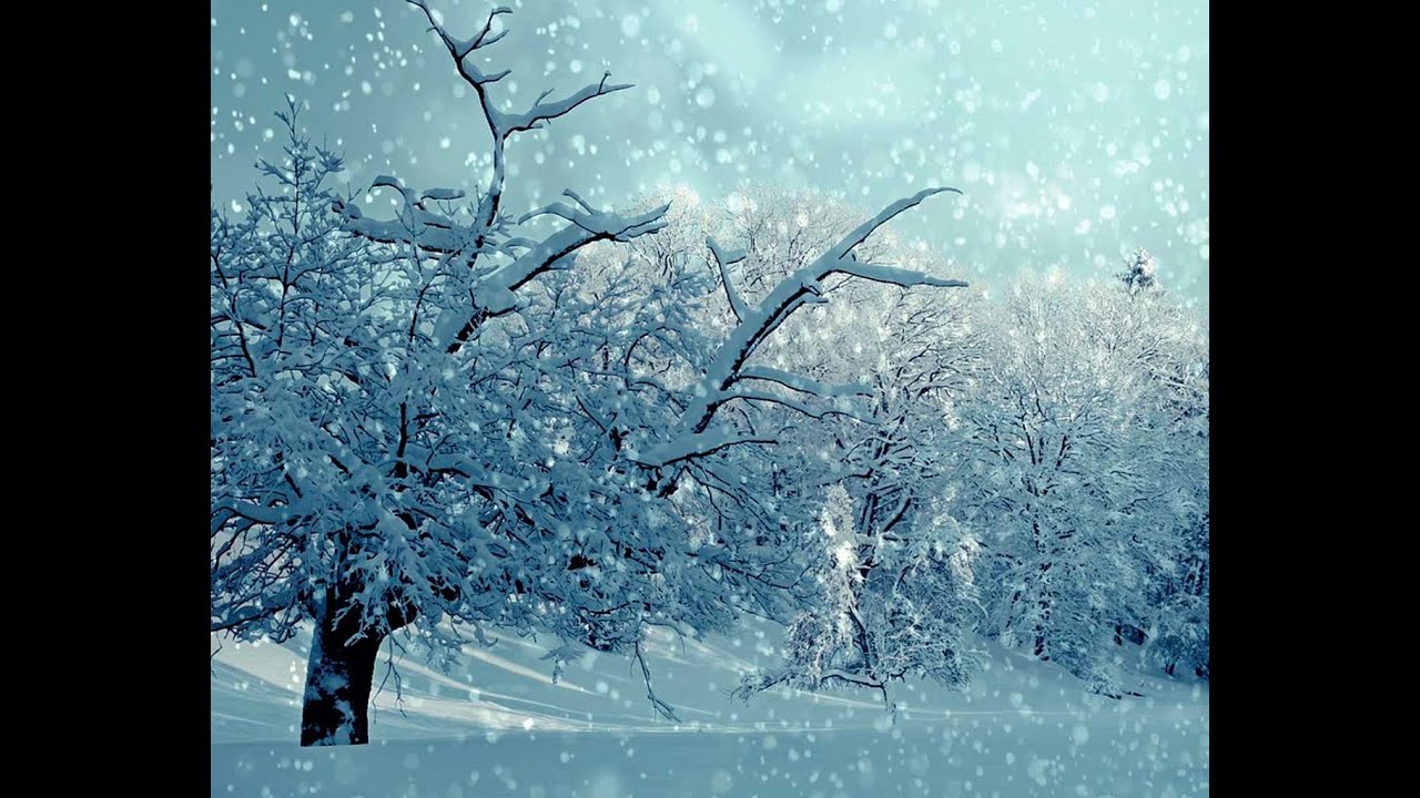 año de nieves año de bienes significado